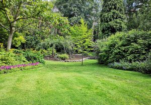 Optimiser l'expérience du jardin à Mormant-sur-Vernisson